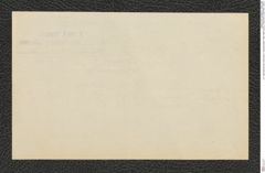 k.k. naturhistorisches Hofmuseum, Intendanzakten 1885-1896 (Hauer), Aktenzahl Z.256/1893, Seite 2
